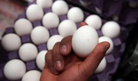 Se dispara tráfico de huevo desde Canadá y México a EE. UU. por aumento del precio
