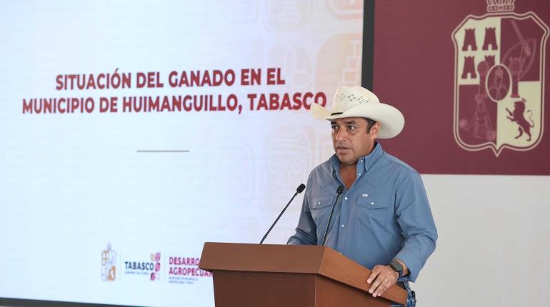 Ya van 1062 reses muertas por ingesta de pollinaza en Huimanguillo