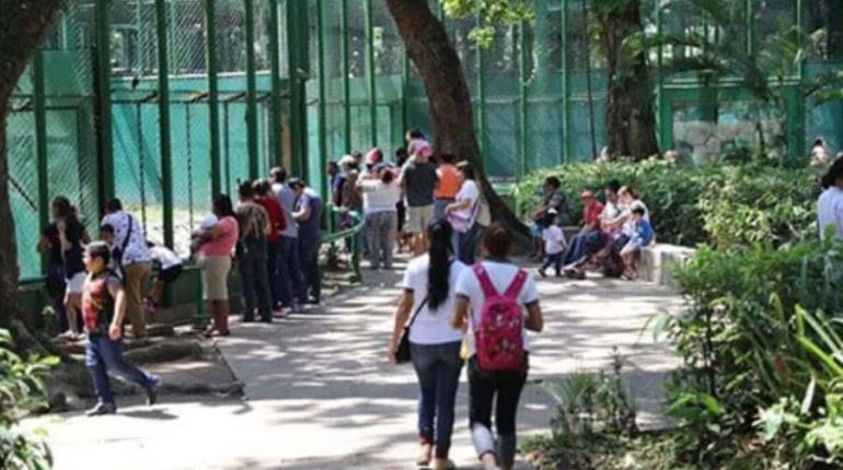Colectivo pide revelar proyecto de rehabilitación del Museo La Venta