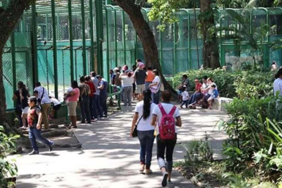 Colectivo pide revelar proyecto de rehabilitación del Museo La Venta