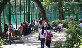 Por fumigación cerrarán temporalmente los museos de Tabasco