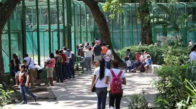 Por fumigación cerrarán temporalmente los museos de Tabasco