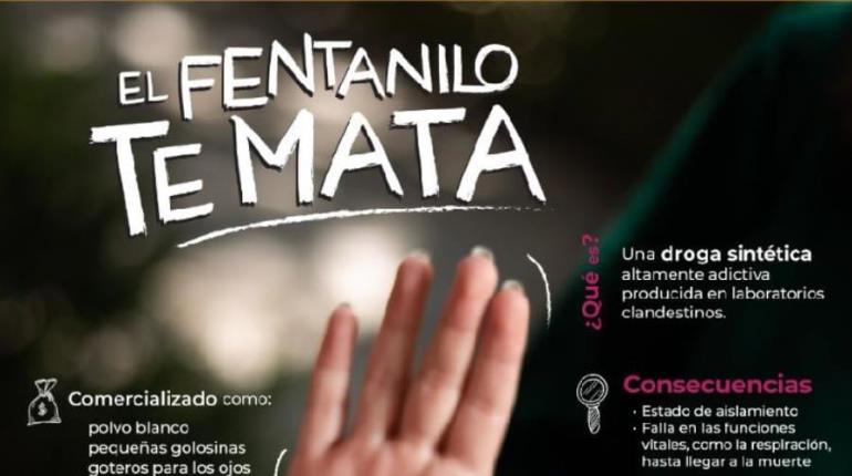 "Me sorprendió": Sheinbaum sobre publicación de Trump del promocional de México contra el fentanilo