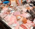 Listos vendedores de pescados y mariscos del Pino Suárez para ventas de Semana Santa