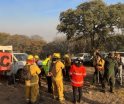 Destruye incendio 549 hectáreas de la Sierra de los Agustinos en Guanajuato