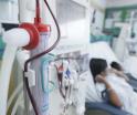 Detectan herbicida en la orina de 500 niños con daño renal en Jalisco