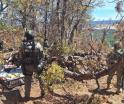 Desmantelan fuerzas federales campamento criminal en Chihuahua