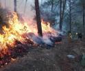 Atienden tres aeronaves y 436 brigadistas incendio forestal en Tlaxcala