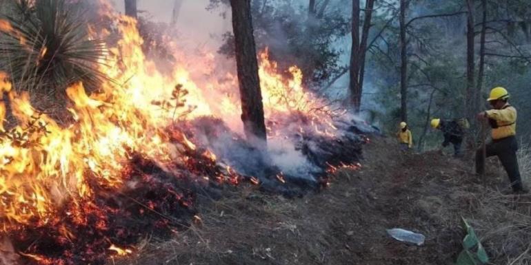 Disminuyen incendios activos en México; CONAFOR reporta 99