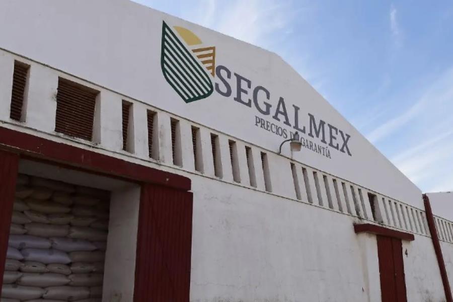 Detienen a exsubdirector de Operaciones en Liconsa durante sexenio de AMLO, por fraude millonario Detienen a exsubdirector de Operaciones en Liconsa durante sexenio de AMLO, por fraude millonario