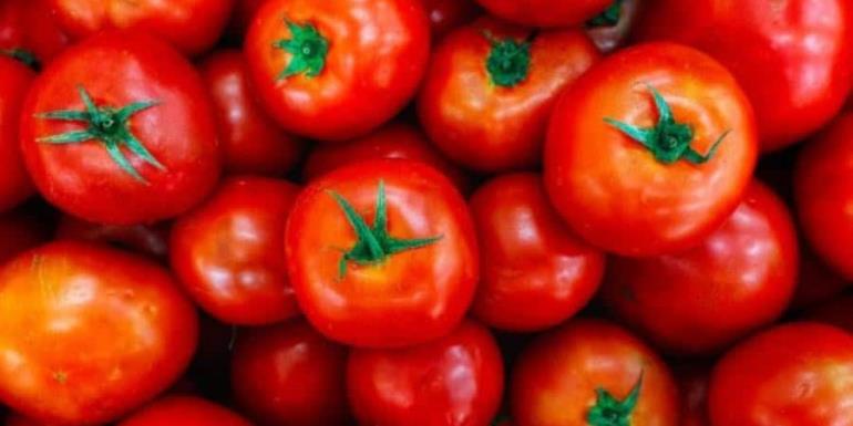 Aranceles a jitomate podrían impactar la exportación de 2 mil 562 mdd del producto