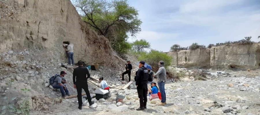 Localiza INAH fósiles de un mamut en Tamaulipas Localiza INAH fósiles de un mamut en Tamaulipas