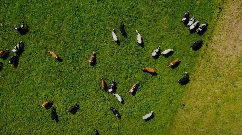 Ganaderos imparten en Tabasco taller para lograr ´tierras sanas, familias felices y negocios rentables´