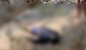 Sale a pescar y se ahoga en Comalcalco