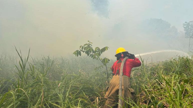 Más de 150 incendios se han atendido durante la temporada de calor: Centro