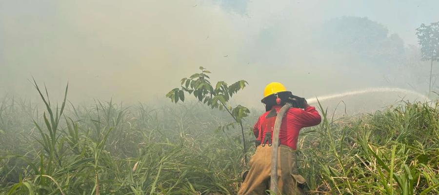 Más de 150 incendios se han atendido durante la temporada de calor: Centro Más de 150 incendios se han atendido durante la temporada de calor: Centro