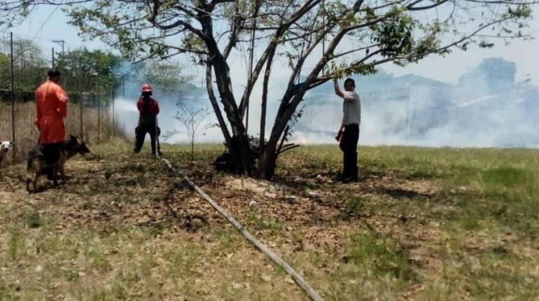 Atiende PC incendios en Anacleto Canabal y Gaviotas Sur