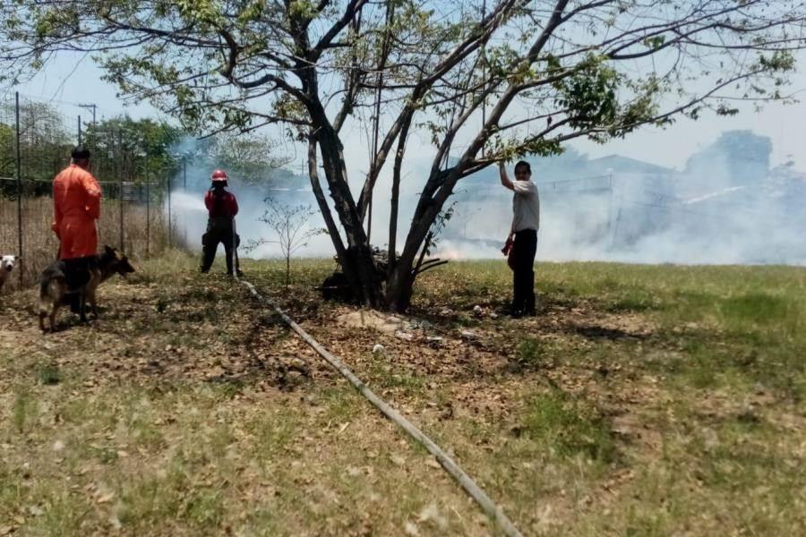 Atiende PC incendios en Anacleto Canabal y Gaviotas Sur Atiende PC incendios en Anacleto Canabal y Gaviotas Sur