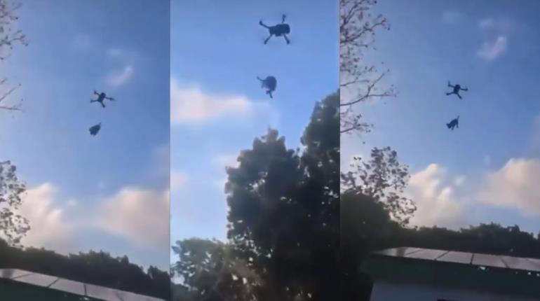 Amarran a perrito en un dron y lo hacen volar en Quintana Roo
