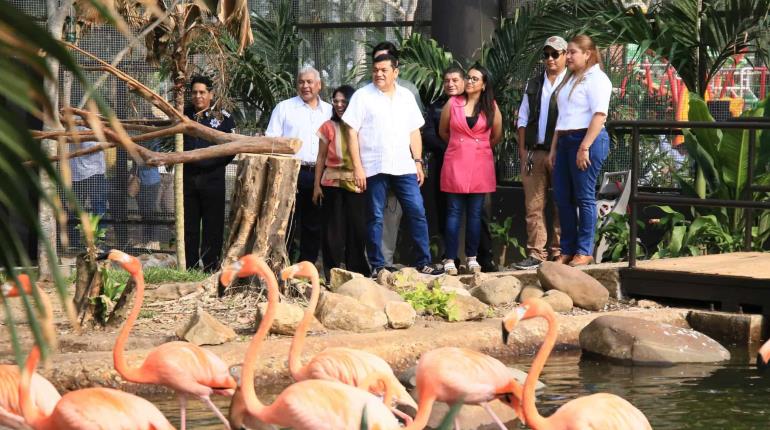 Tras 6 años cerrado al público, reapertura gobierno aviario del ´Yumka´