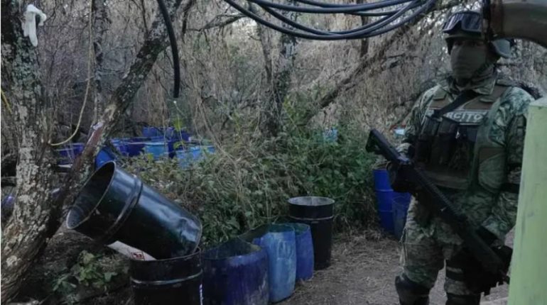 Aseguran autoridades federales precursores químicos valorados en más de 3 mmdp
