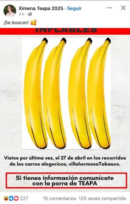imagen-cuerpo imagen-cuerpo