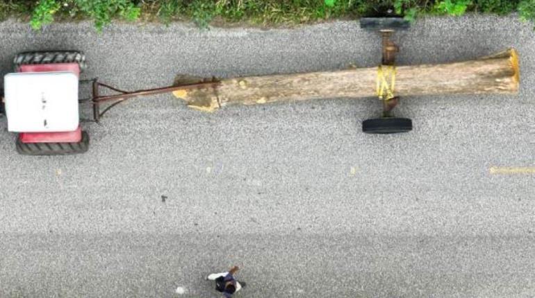 Tenosique debe informar sobre recaudación por traslado de madera: ITAIP