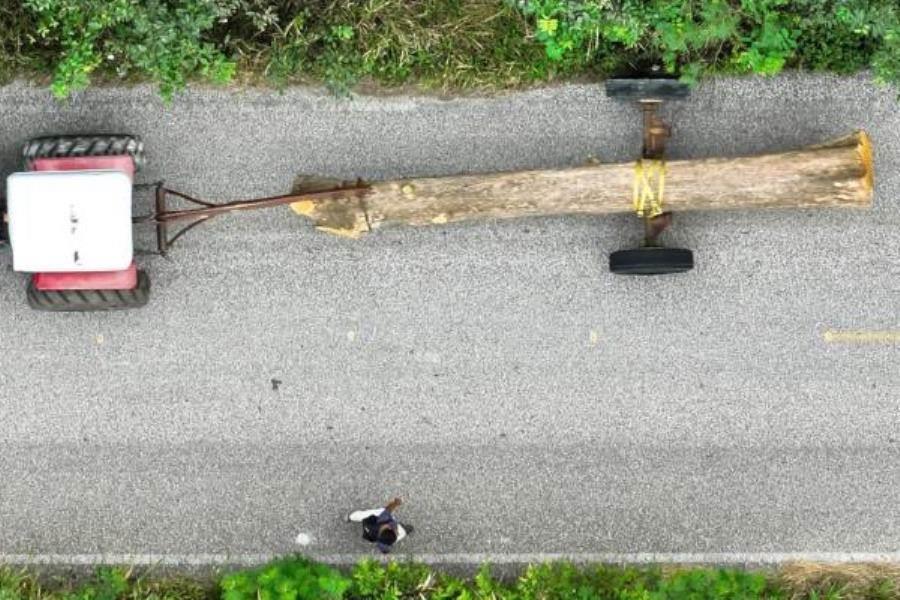 Tenosique debe informar sobre recaudación por traslado de madera: ITAIP