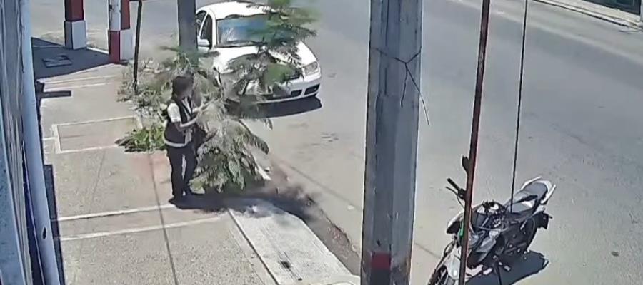 Denuncian a mujer quebrando ramas de árboles en Villahermosa Denuncian a mujer quebrando ramas de árboles en Villahermosa