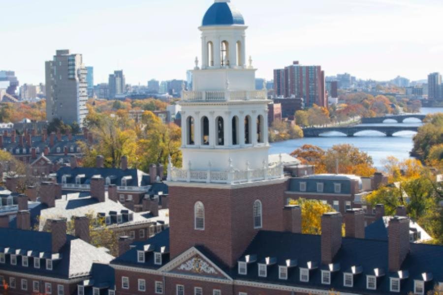 "Es lo que se merecen"; Trump quitará a Harvard su exención de impuestos "Es lo que se merecen"; Trump quitará a Harvard su exención de impuestos