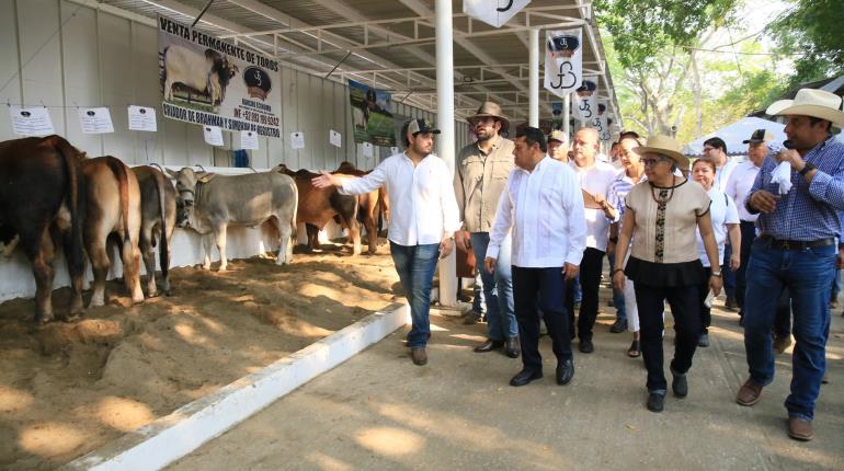 Compromete el gobernador construir nueva pista de calificación en el stand ganadero del Parque Tabasco