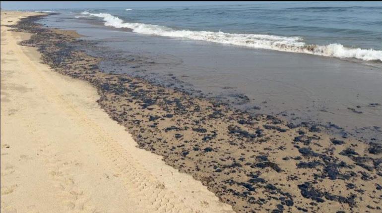 ¡Bandera negra! Prohíben ingreso a playas de Paraíso por presencia de hidrocarburo