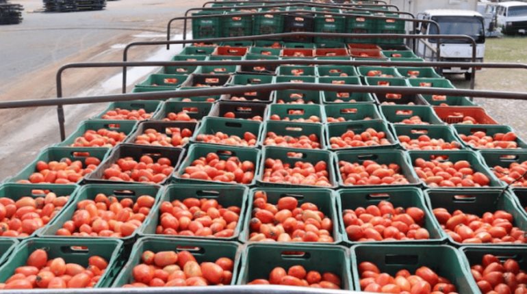 Aguacate libre de aranceles de EE. UU.; jitomate podría tener un 21%