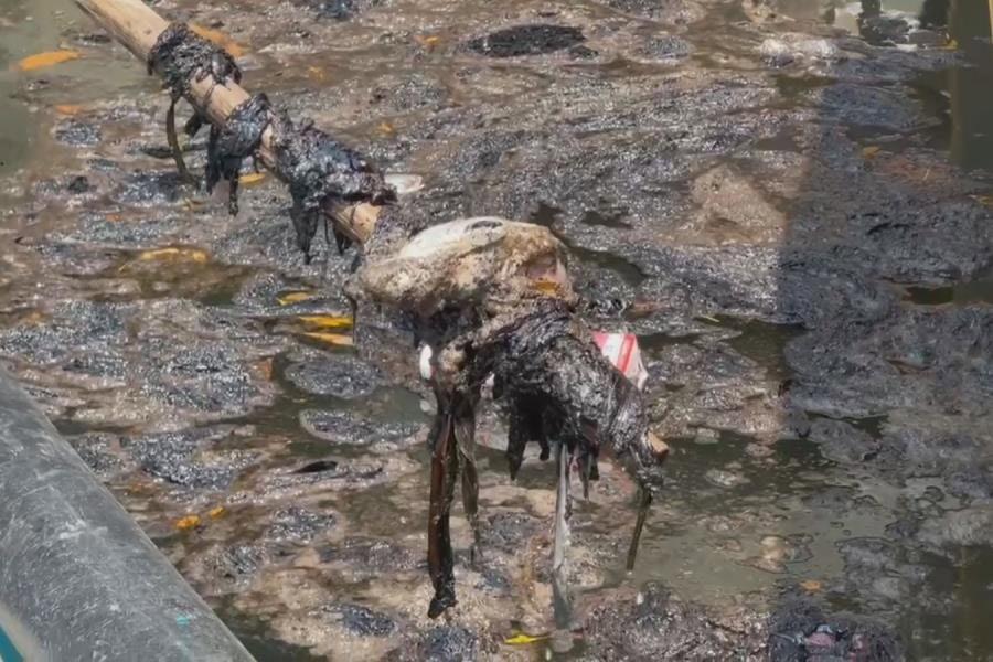 Penetra a laguna de Mecoacán y Río Seco, derrame de hidrocarburo: Pescadores Penetra a laguna de Mecoacán y Río Seco, derrame de hidrocarburo: Pescadores