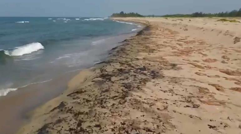 Habitantes de Paraíso denuncian afectaciones a la pesca y turismo ante presencia de hidrocarburo en la zona costera