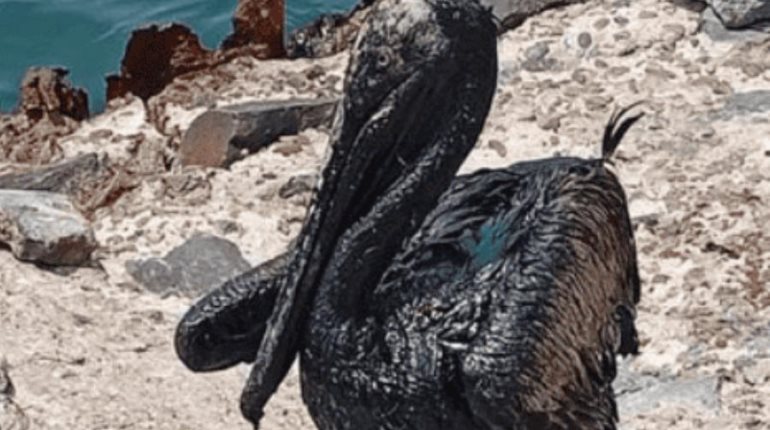 Confirma Pemex derrame de hidrocarburo en Dos Bocas
