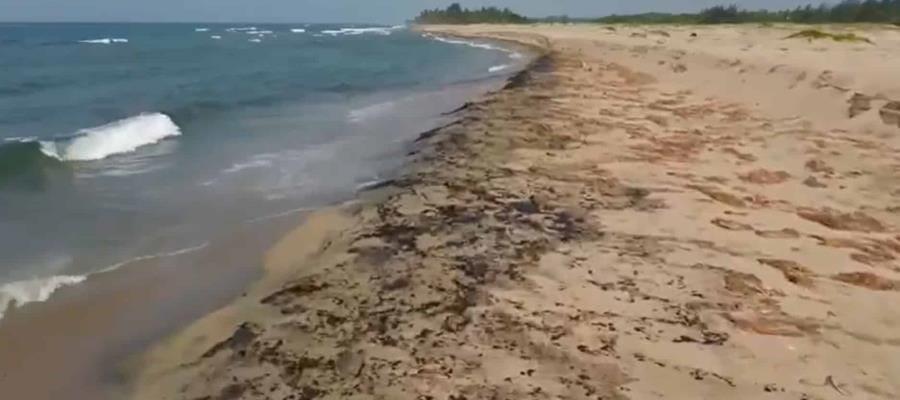 Se derramaron cerca de 300 barriles de hidrocarburo en Dos Bocas: Sheinbaum