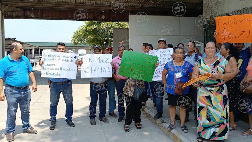 Consejos de Abasto del almacén de Diconsa llevan 4 meses sin recibir maíz para las tiendas comunitarias Consejos de Abasto del almacén de Diconsa llevan 4 meses sin recibir maíz para las tiendas comunitarias