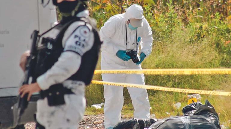 En 7 meses homicidios bajaron casi 25% en el país: Sheinbaum