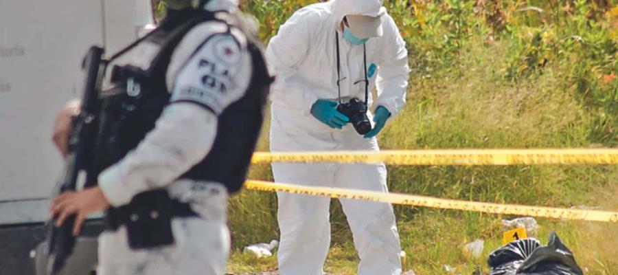 En 7 meses homicidios bajaron casi 25% en el país: Sheinbaum En 7 meses homicidios bajaron casi 25% en el país: Sheinbaum