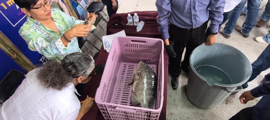 Realizan concurso del Pez Más Grande en la Feria Tabasco Realizan concurso del Pez Más Grande en la Feria Tabasco