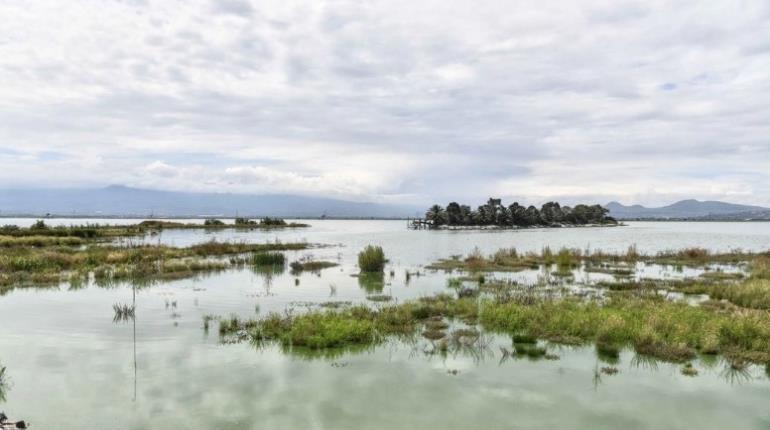 Vinculan a proceso a hombre por despojo en reserva ecológica de la Zona Federal del ex Lago de Texcoco
