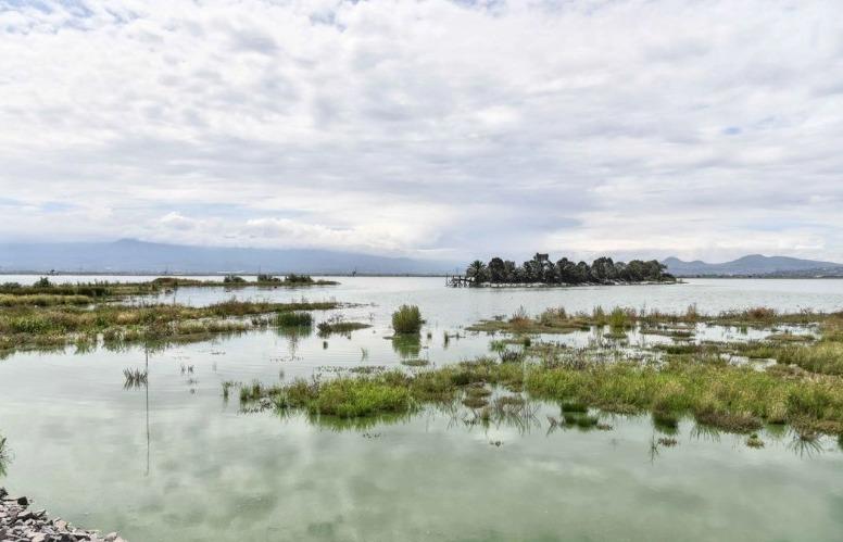 Vinculan a proceso a hombre por despojo en reserva ecológica de la Zona Federal del ex Lago de Texcoco Vinculan a proceso a hombre por despojo en reserva ecológica de la Zona Federal del ex Lago de Texcoco