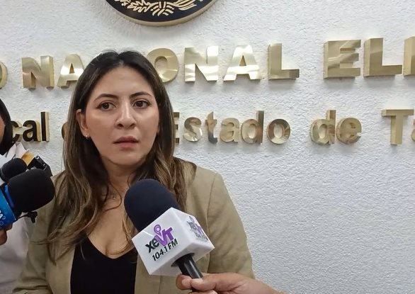 Ningún candidato al Poder Judicial ha solicitado medidas de protección: INE Tabasco
