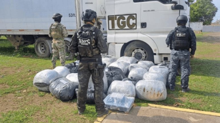 Aseguran en Chiapas casi media tonelada de marihuana