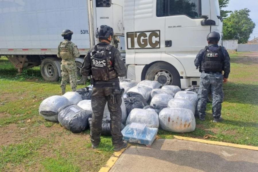 Aseguran en Chiapas casi media tonelada de marihuana Aseguran en Chiapas casi media tonelada de marihuana
