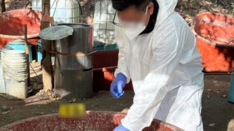 Desmantelan 3 narcolaboratorios en Sinaloa en operación conjunta México-EE. UU.