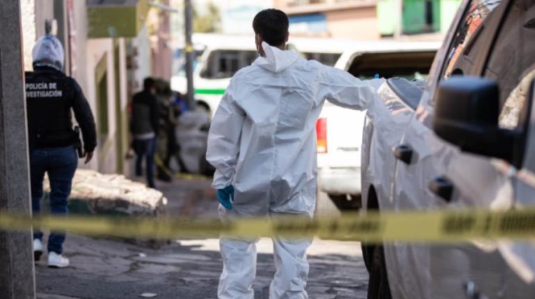 Violencia en México durante 2024 le costó el equivalente al 18% del PIB: IEP
