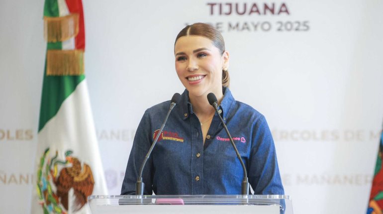 Exige PAN a Marina del Pilar que solicite licencia para ser investigada