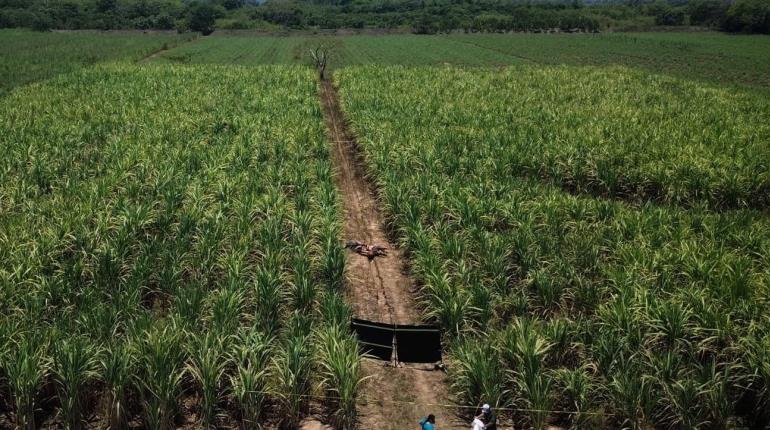 Confirman familiares que cuerpos hallados en Cárdenas son los mecánicos desaparecidos en Huimanguillo